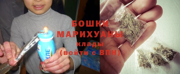 дживик Кулебаки