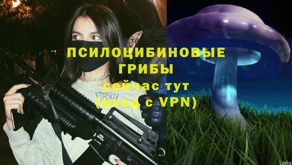 ALPHA PVP Кукмор