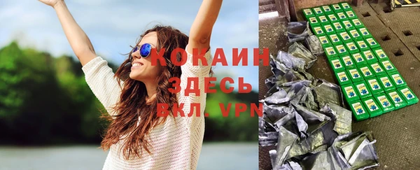 дживик Кулебаки